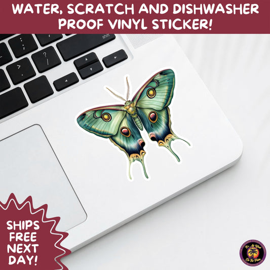 LUNA MOTH STICKERS | moth, sticker, luna moth, moon moth, cottage core, halloween, goth moth, large moth, insect sticker, laptop sticker,