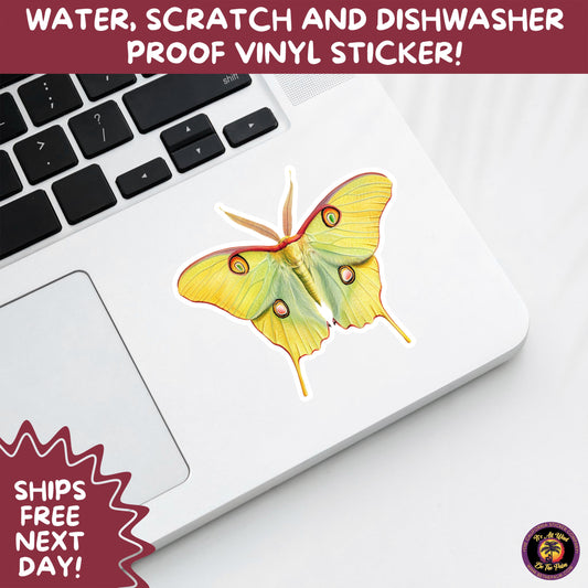 LUNA MOTH STICKERS | moth, sticker, luna moth, moon moth, cottage core, halloween, goth moth, large moth, insect sticker, laptop sticker,