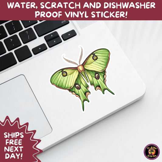 LUNA MOTH STICKERS | moth, sticker, luna moth, moon moth, cottage core, halloween, goth moth, large moth, insect sticker, laptop sticker,