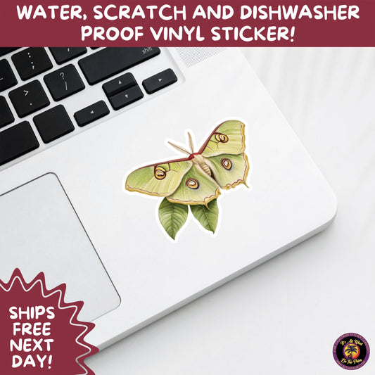 LUNA MOTH STICKERS | moth, sticker, luna moth, moon moth, cottage core, halloween, goth moth, large moth, insect sticker, laptop sticker,