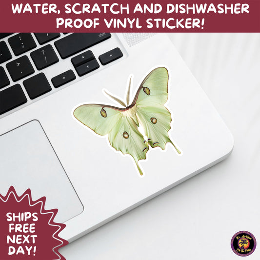 LUNA MOTH STICKERS | moth, sticker, luna moth, moon moth, cottage core, halloween, goth moth, large moth, insect sticker, laptop sticker,