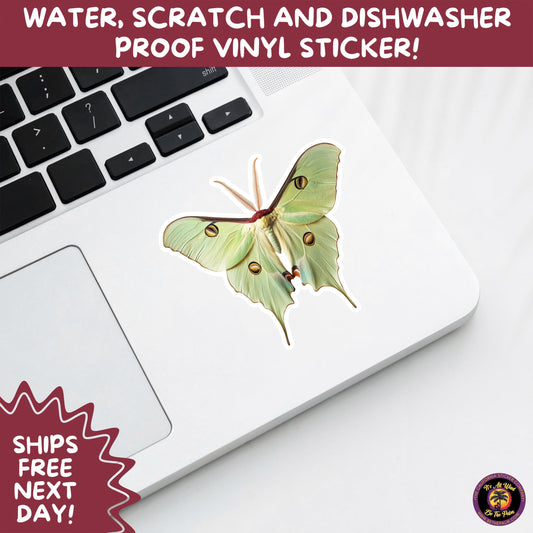 LUNA MOTH STICKERS | moth, sticker, luna moth, moon moth, cottage core, halloween, goth moth, large moth, insect sticker, laptop sticker,