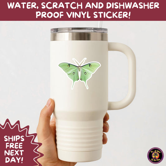 LUNA MOTH STICKERS | moth, sticker, luna moth, moon moth, cottage core, halloween, goth moth, large moth, insect sticker, laptop sticker,