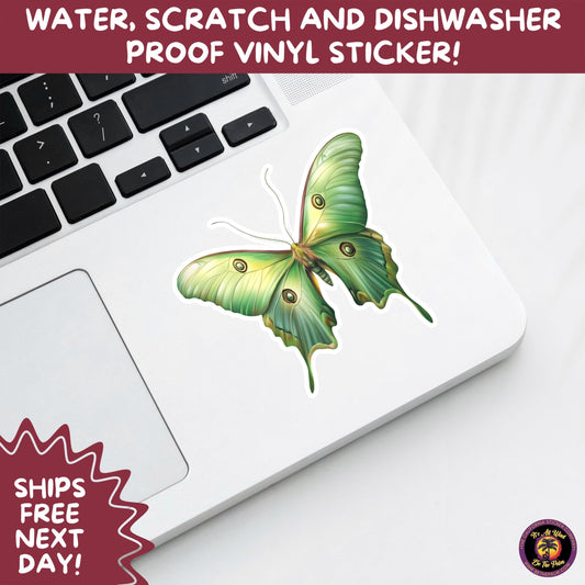 LUNA MOTH STICKERS | moth, sticker, luna moth, moon moth, cottage core, halloween, goth moth, large moth, insect sticker, laptop sticker,