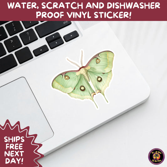 LUNA MOTH STICKERS | moth, sticker, luna moth, moon moth, cottage core, halloween, goth moth, large moth, insect sticker, laptop sticker,