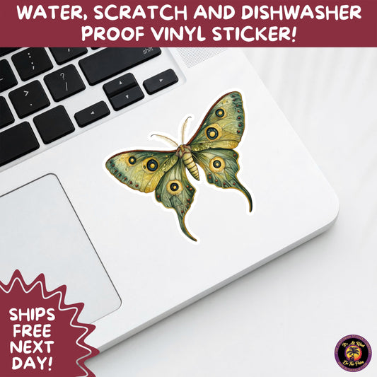LUNA MOTH STICKERS | moth, sticker, luna moth, moon moth, cottage core, halloween, goth moth, large moth, insect sticker, laptop sticker,