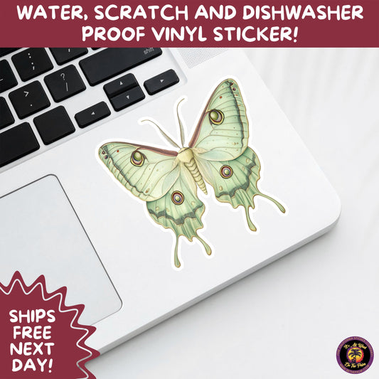 LUNA MOTH STICKERS | moth, sticker, luna moth, moon moth, cottage core, halloween, goth moth, large moth, insect sticker, laptop sticker,