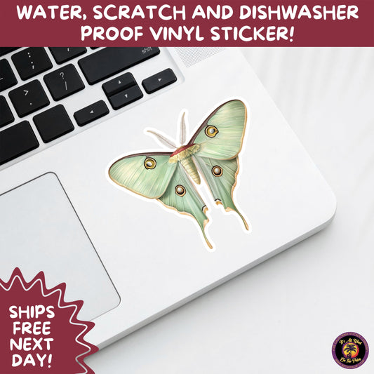 LUNA MOTH STICKERS | moth, sticker, luna moth, moon moth, cottage core, halloween, goth moth, large moth, insect sticker, laptop sticker,