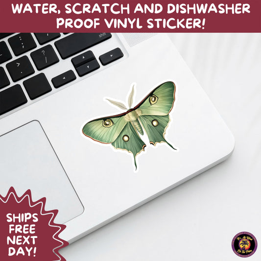 LUNA MOTH STICKERS | moth, sticker, luna moth, moon moth, cottage core, halloween, goth moth, large moth, insect sticker, laptop sticker,