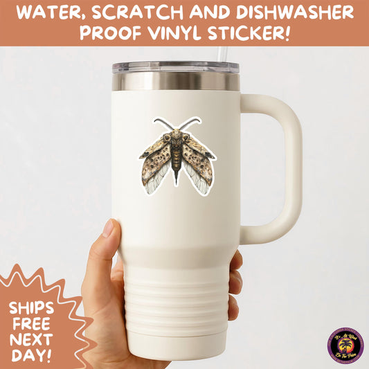 GOTH MOTH STICKERS | Gothic Insect Vinyl Stickers, Dark Aesthetic Stickers for Laptops Journals, Spooky Bug Stickers, Moth Witchy Decor