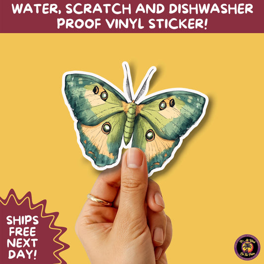 LUNA MOTH STICKERS | moth, sticker, luna moth, moon moth, cottage core, halloween, goth moth, large moth, insect sticker, laptop sticker,