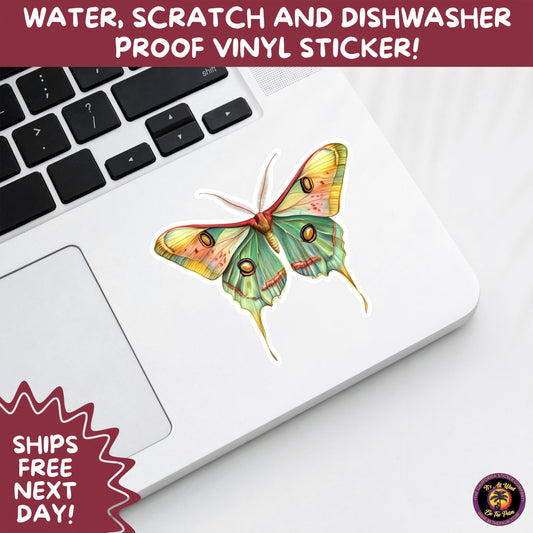 LUNA MOTH STICKERS | moth, sticker, luna moth, moon moth, cottage core, halloween, goth moth, large moth, insect sticker, laptop sticker,