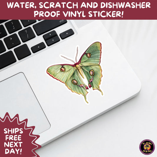 LUNA MOTH STICKERS | moth, sticker, luna moth, moon moth, cottage core, halloween, goth moth, large moth, insect sticker, laptop sticker,