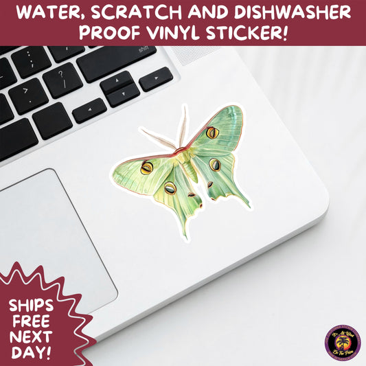 LUNA MOTH STICKERS | moth, sticker, luna moth, moon moth, cottage core, halloween, goth moth, large moth, insect sticker, laptop sticker,