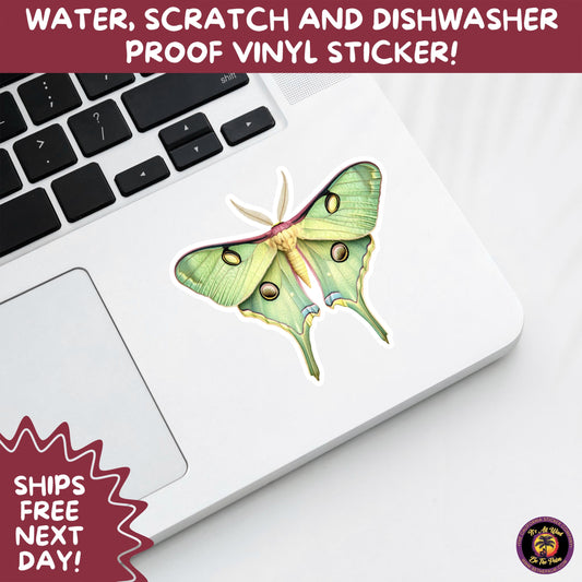 LUNA MOTH STICKERS | moth, sticker, luna moth, moon moth, cottage core, halloween, goth moth, large moth, insect sticker, laptop sticker,