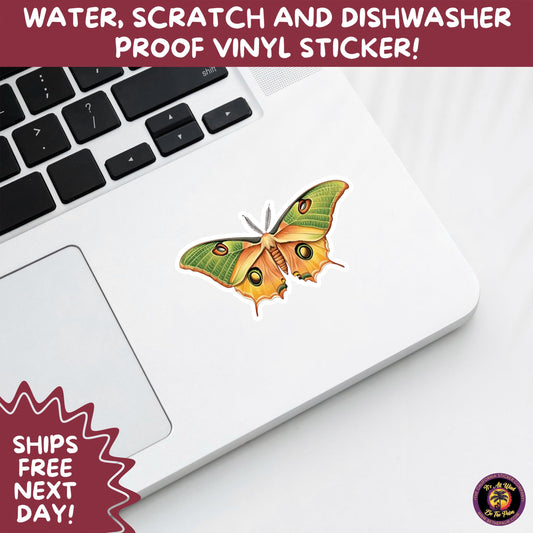 LUNA MOTH STICKERS | moth, sticker, luna moth, moon moth, cottage core, halloween, goth moth, large moth, insect sticker, laptop sticker,