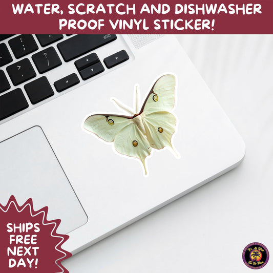 LUNA MOTH STICKERS | moth, sticker, luna moth, moon moth, cottage core, halloween, goth moth, large moth, insect sticker, laptop sticker,