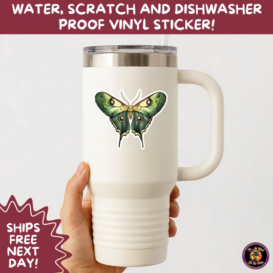 LUNA MOTH STICKERS | moth, sticker, luna moth, moon moth, cottage core, halloween, goth moth, large moth, insect sticker, laptop sticker,