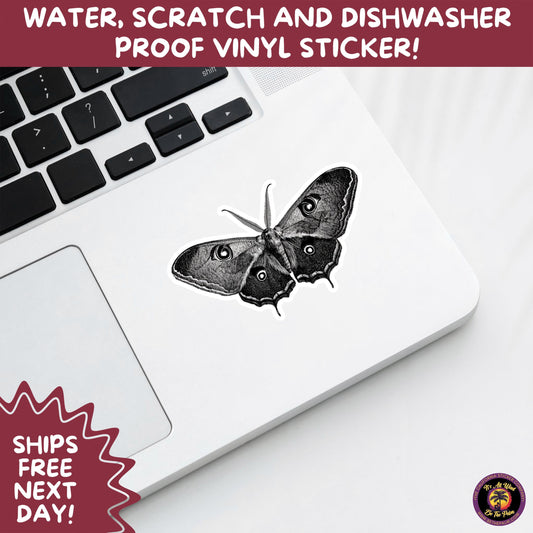 LUNA MOTH STICKERS | moth, sticker, luna moth, moon moth, cottage core, halloween, goth moth, large moth, insect sticker, laptop sticker,