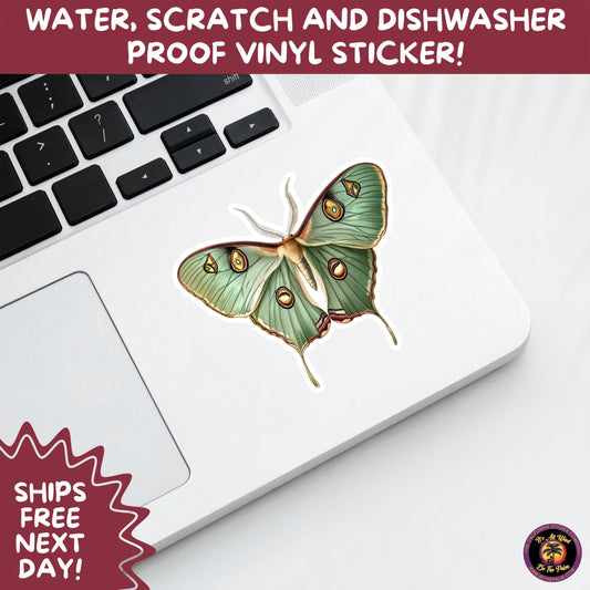LUNA MOTH STICKERS | moth, sticker, luna moth, moon moth, cottage core, halloween, goth moth, large moth, insect sticker, laptop sticker,