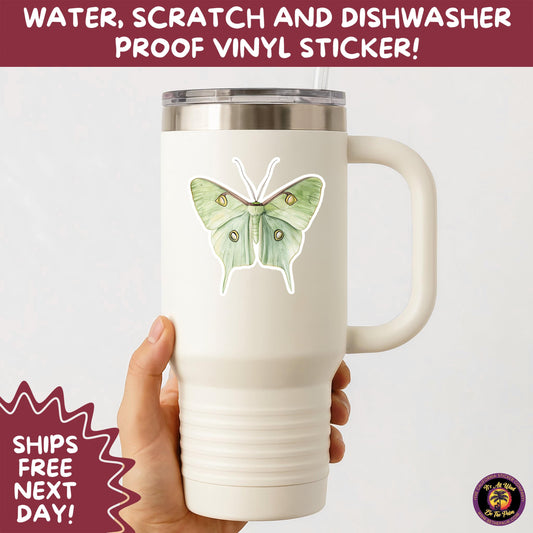 LUNA MOTH STICKERS | moth, sticker, luna moth, moon moth, cottage core, halloween, goth moth, large moth, insect sticker, laptop sticker,