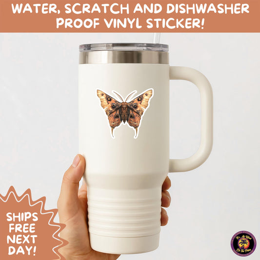 GOTH MOTH STICKERS | Gothic Insect Vinyl Stickers, Dark Aesthetic Stickers for Laptops Journals, Spooky Bug Stickers, Moth Witchy Decor