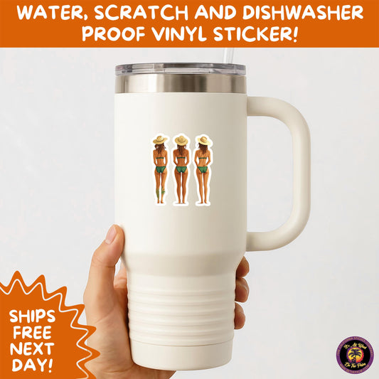 FUN BEACH STICKERS with Bikini Designs, Perfect for Travel Journals, Water Bottles, Tumblers, Laptops, Scrapbooks, and Summer Decor