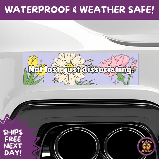 BUMPER STICKER | Funny Vinyl Decals for Cars Trucks Laptops Durable Waterproof Outdoor Sticker Gift for Drivers and Road Trips