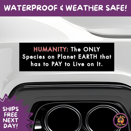 BUMPER STICKER | Funny Vinyl Decals for Cars Trucks Laptops Durable Waterproof Outdoor Sticker Gift for Drivers and Road Trips