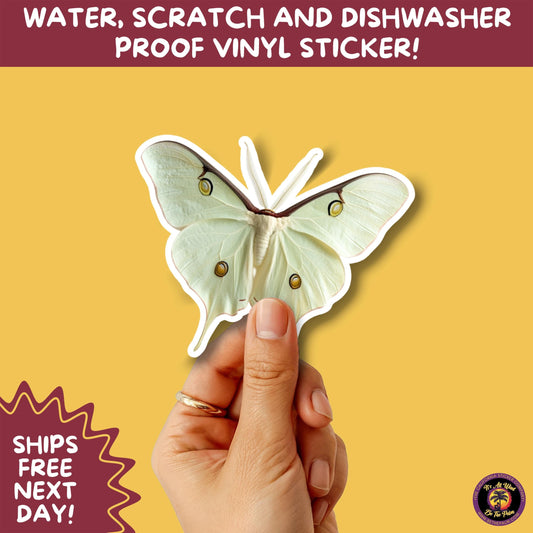LUNA MOTH STICKERS | moth, sticker, luna moth, moon moth, cottage core, large moth, insect sticker, laptop sticker,