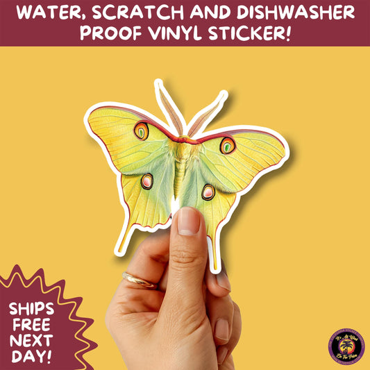 LUNA MOTH STICKERS | moth, sticker, luna moth, moon moth, cottage core, large moth, insect sticker, laptop sticker,