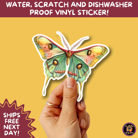 LUNA MOTH STICKERS | moth, sticker, luna moth, moon moth, cottage core, halloween, goth moth, large moth, insect sticker, laptop sticker,