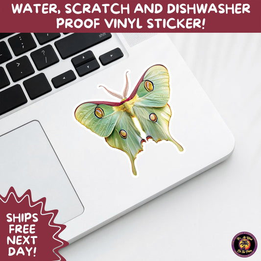 LUNA MOTH STICKERS | moth, sticker, luna moth, moon moth, cottage core, large moth, insect sticker, laptop sticker,