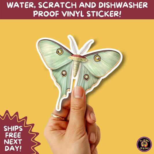 LUNA MOTH STICKERS | moth, sticker, luna moth, moon moth, cottage core, large moth, insect sticker, laptop sticker,