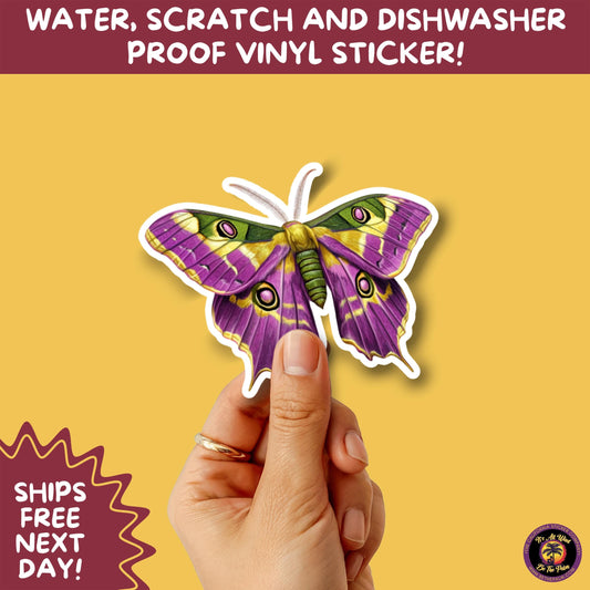 LUNA MOTH STICKERS | moth, sticker, luna moth, moon moth, cottage core, large moth, insect sticker, laptop sticker,