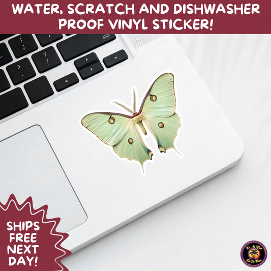 LUNA MOTH STICKERS | moth, sticker, luna moth, moon moth, cottage core, large moth, insect sticker, laptop sticker,