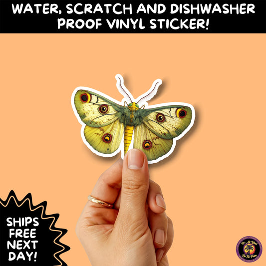 GOTH MOTH STICKERS | Gothic Insect Vinyl Stickers, Dark Aesthetic Stickers for Laptops Journals, Spooky Bug Stickers, Moth Witchy Decor