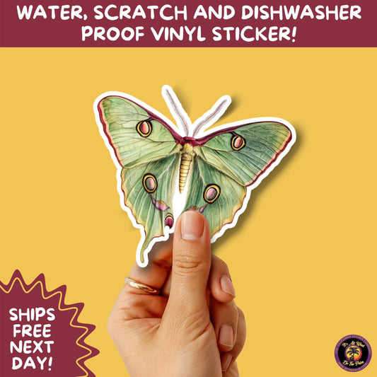 LUNA MOTH STICKERS | moth, sticker, luna moth, moon moth, cottage core, large moth, insect sticker, laptop sticker,