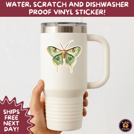 LUNA MOTH STICKERS | moth, sticker, luna moth, moon moth, cottage core, large moth, insect sticker, laptop sticker,