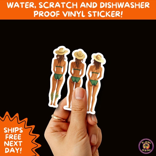 FUN BEACH STICKERS with Bikini Designs, Perfect for Travel Journals, Water Bottles, Tumblers, Laptops, Scrapbooks, and Summer Decor