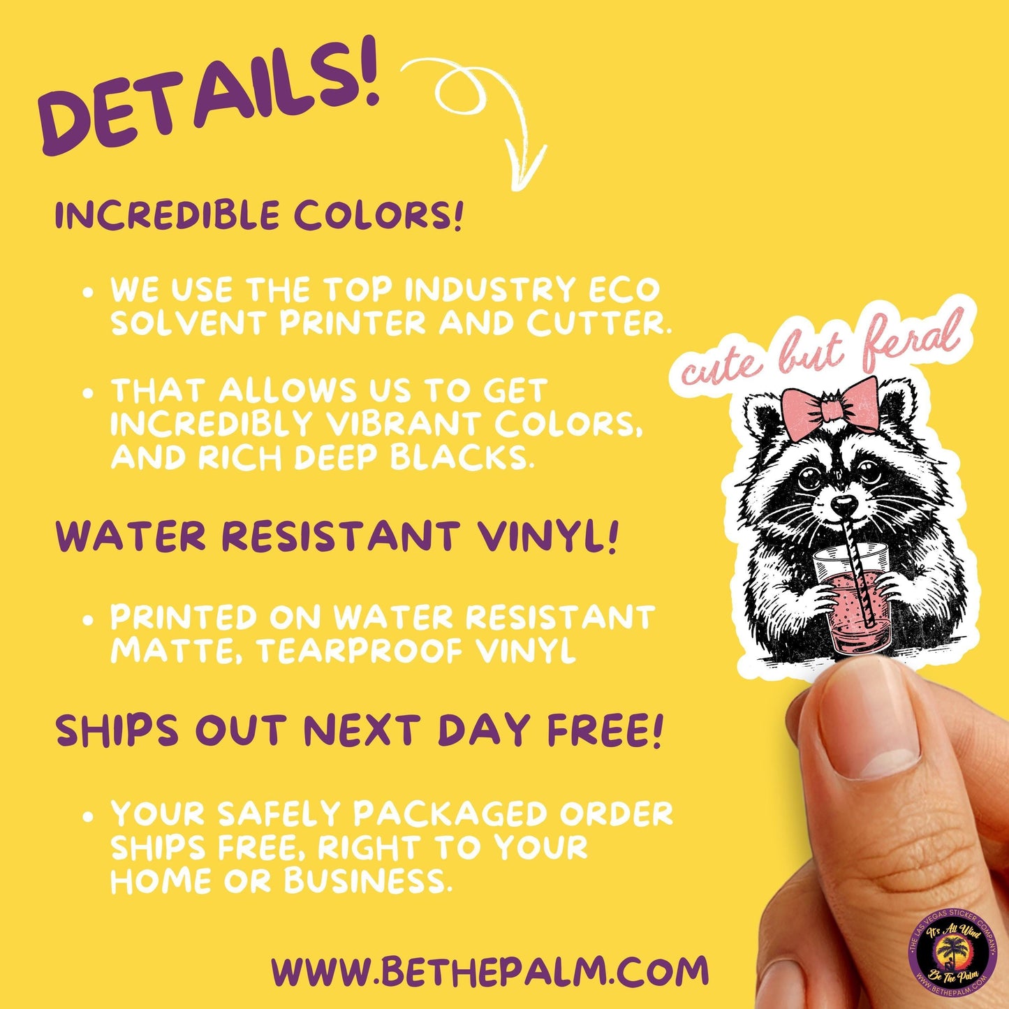 RACCOON STICKER | funny sticker, laptop sticker, stickers, stickers for hydro, vinyl stickers, meme sticker, water bottle sticker
