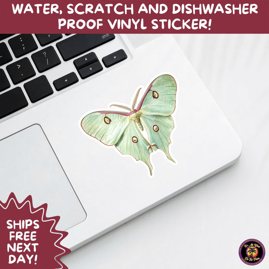 LUNA MOTH STICKERS | moth, sticker, luna moth, moon moth, cottage core, large moth, insect sticker, laptop sticker,