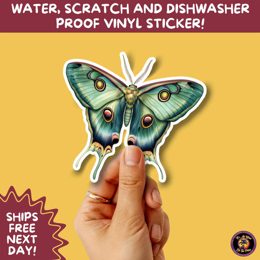 LUNA MOTH STICKERS | moth, sticker, luna moth, moon moth, cottage core, large moth, insect sticker, laptop sticker,