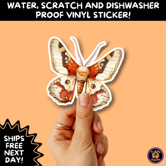 GOTH MOTH STICKERS | Gothic Insect Vinyl Stickers, Dark Aesthetic Stickers for Laptops Journals, Spooky Bug Stickers, Moth Witchy Decor