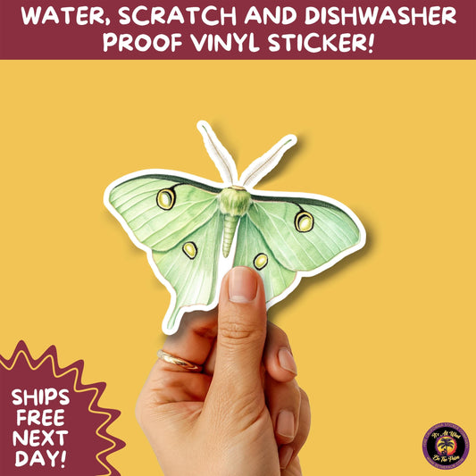 LUNA MOTH STICKERS | moth, sticker, luna moth, moon moth, cottage core, large moth, insect sticker, laptop sticker,