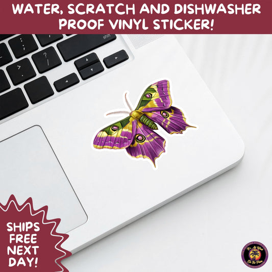 LUNA MOTH STICKERS | moth, sticker, luna moth, moon moth, cottage core, large moth, insect sticker, laptop sticker,