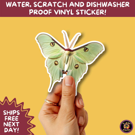 LUNA MOTH STICKERS | moth, sticker, luna moth, moon moth, cottage core, large moth, insect sticker, laptop sticker,
