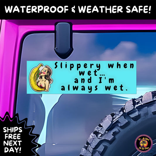 BUMPER STICKER | Funny Vinyl Decals for Cars Trucks Laptops Durable Waterproof Outdoor Sticker Gift for Drivers and Road Trips