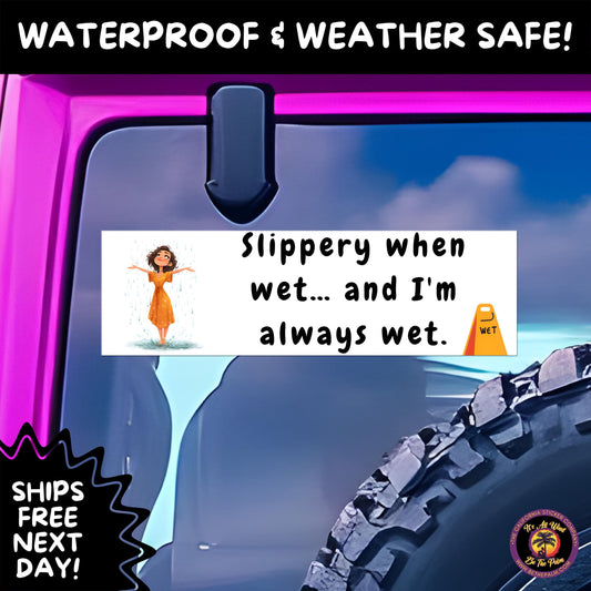 BUMPER STICKER | Funny Vinyl Decals for Cars Trucks Laptops Durable Waterproof Outdoor Sticker Gift for Drivers and Road Trips