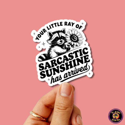 RACCOON STICKER | funny sticker, laptop sticker, stickers, stickers for hydro, vinyl stickers, meme sticker, water bottle sticker
